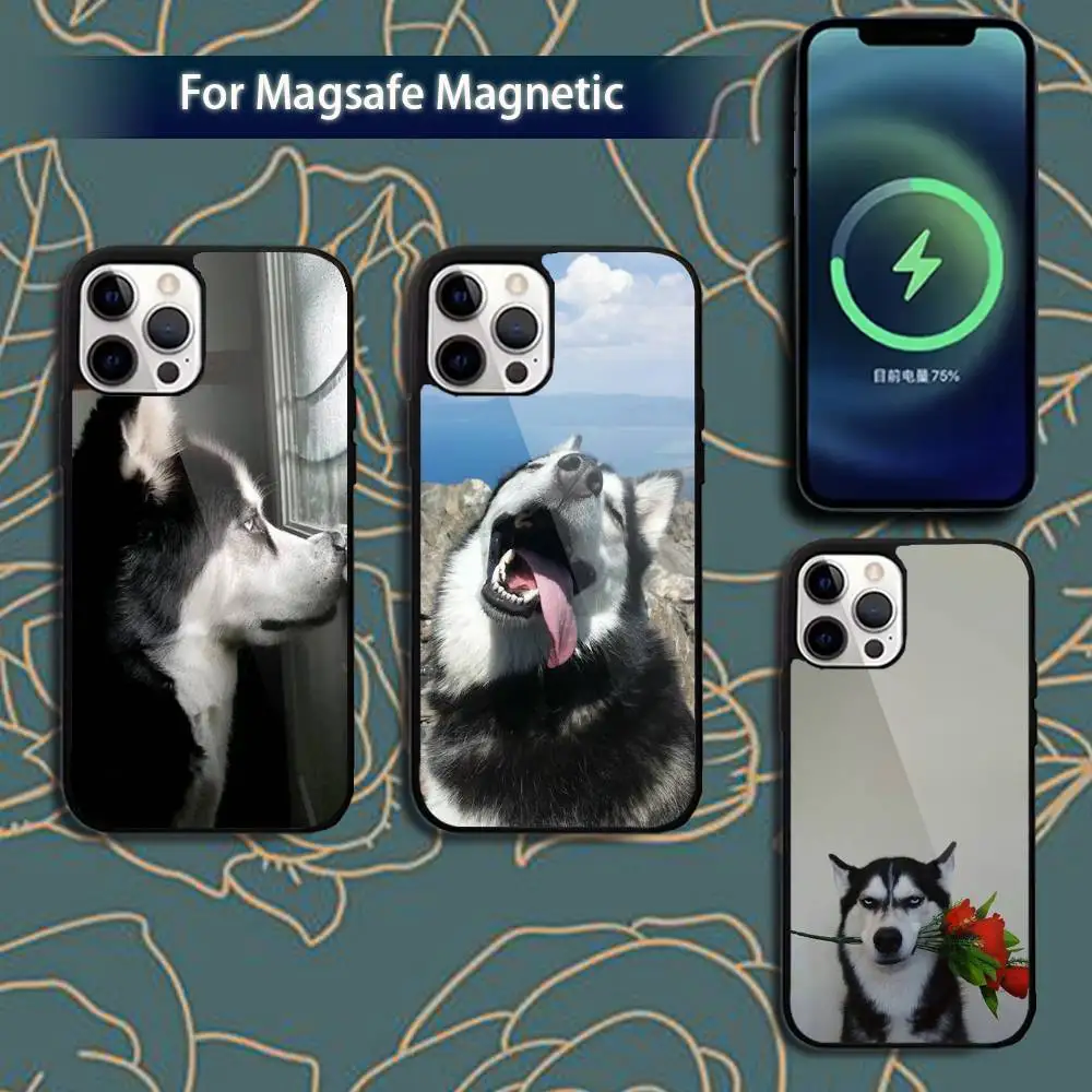 

Siberian Husky Dog Phone Case For iPhone 16,15,14,13,12,11,Pro,Max,Plus,Mini,Magsafe,Magnetic Wireless Charging Case