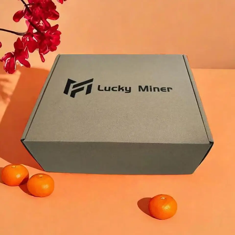 Лотерея Майнер Lucky Miner LV06 BTC BCH BSV DGB WIFI SHA256 504GH/S BM1366 соло Майнер шум домашний криптовалют