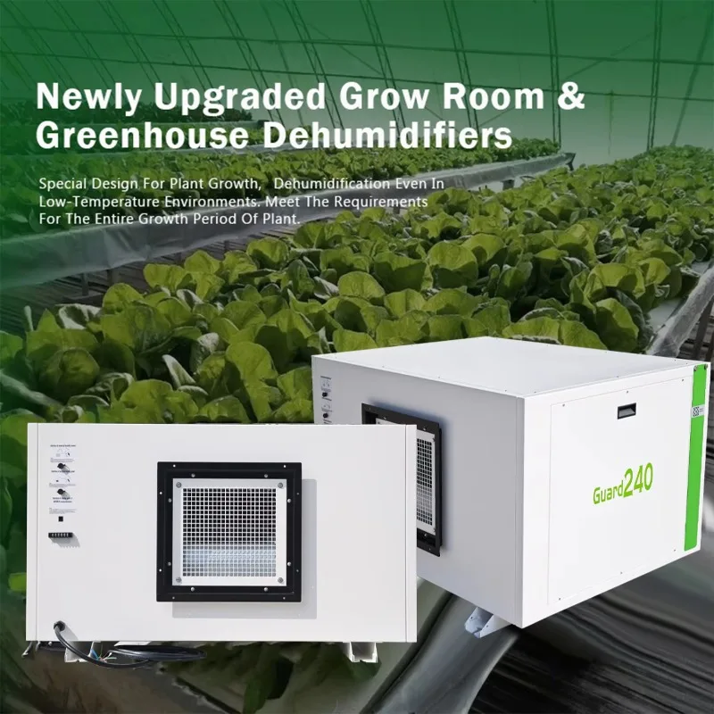 Dealers, high-efficiency 480L greenhouse seedling room dehumidifier