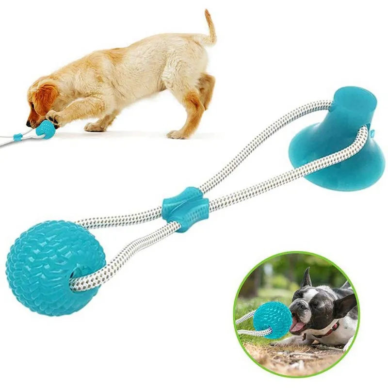 Pet Toys with Suction Cup Dog Push Toy with TPR Ball Pet Tooth Cleaning Chewing Rubber Dog Toys for Small Dogs Rubber Dog Toy