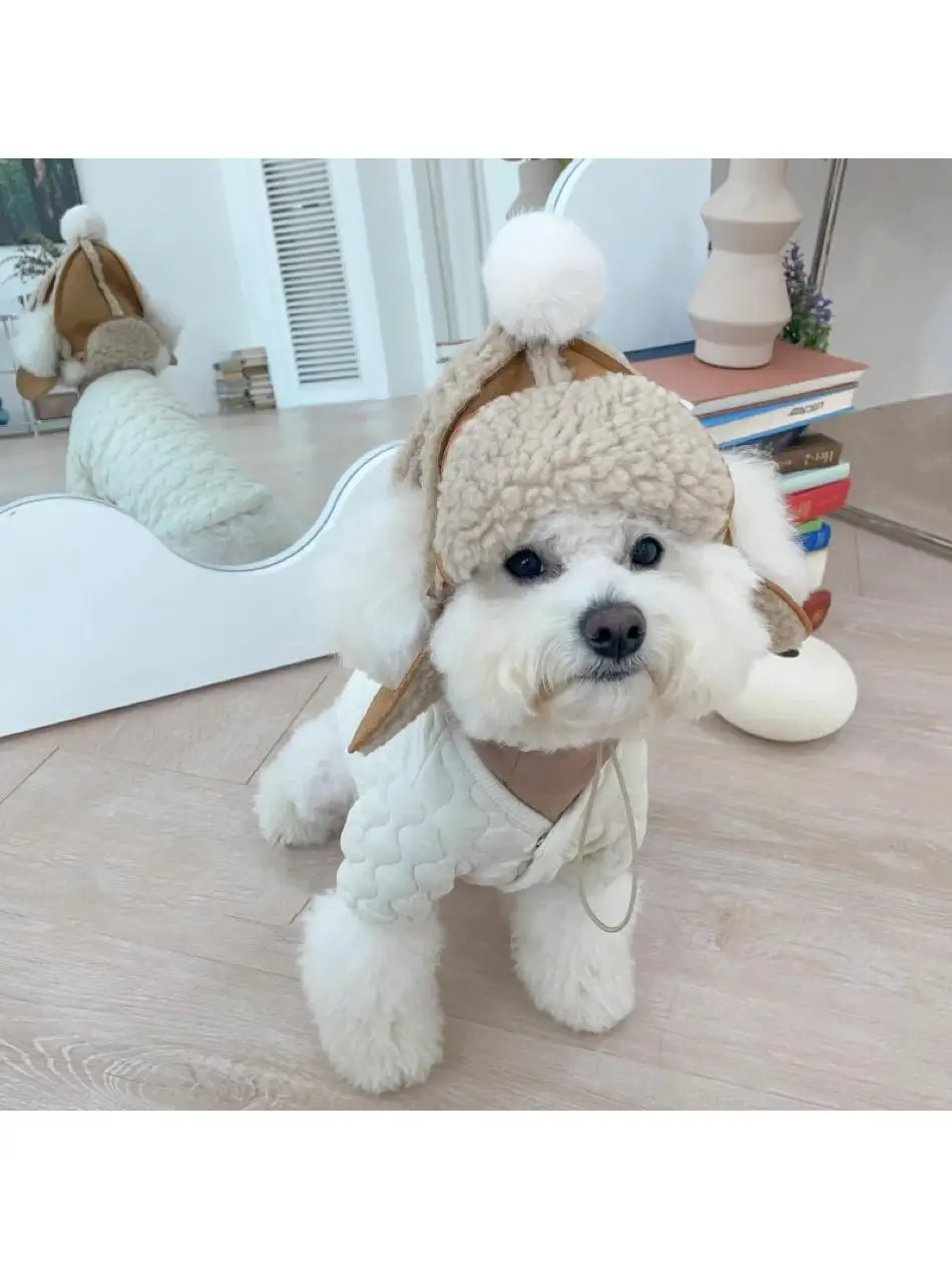Yorkshire Terrier Dog Hat Winter Ear Exposure Autumn Winter Teddy Warm Headwear Maltese Dog Headgear Pet Accessories Baseball... - view 4