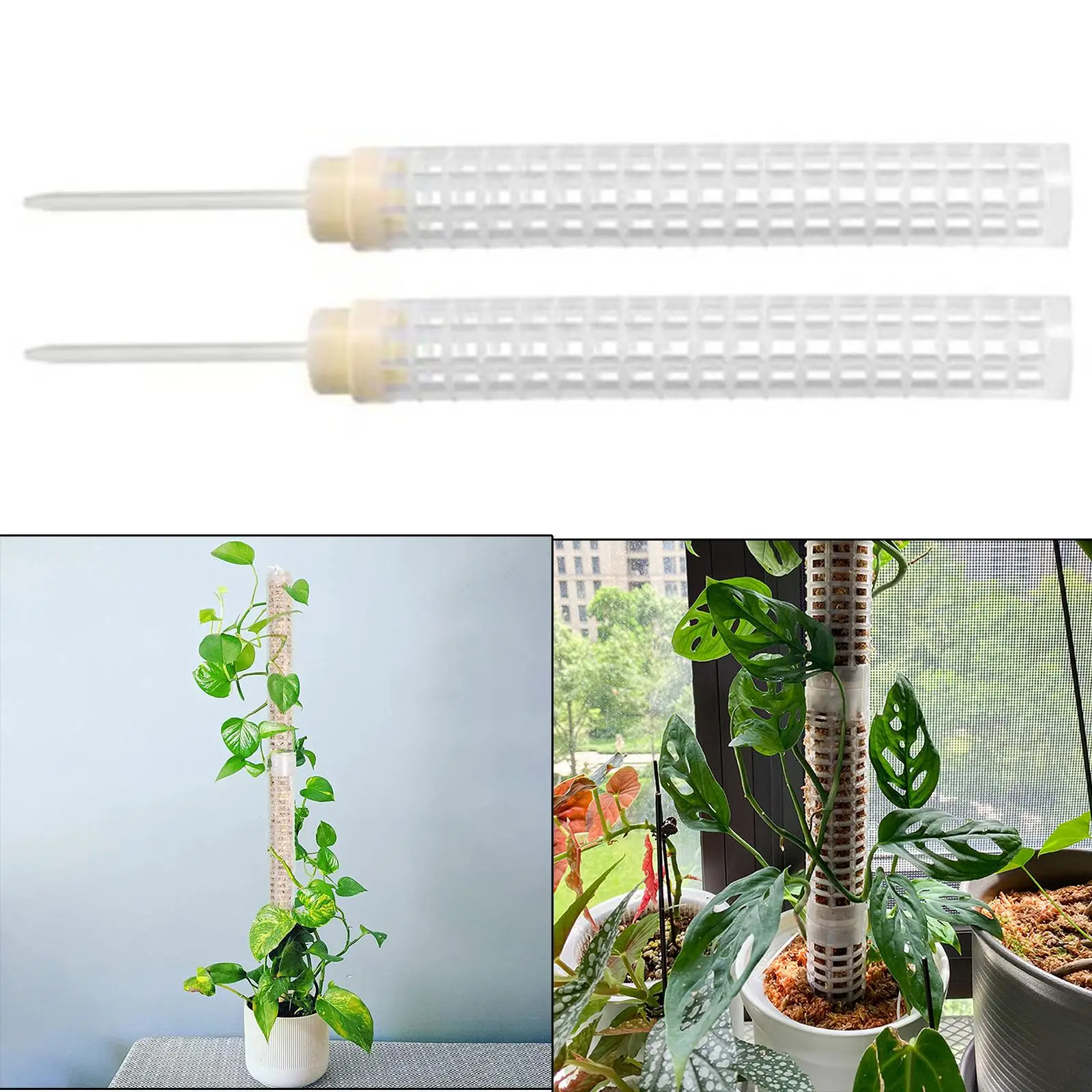 Climbing Plant Translucent Creepers Moss Pole Plastic for Flowers Potted