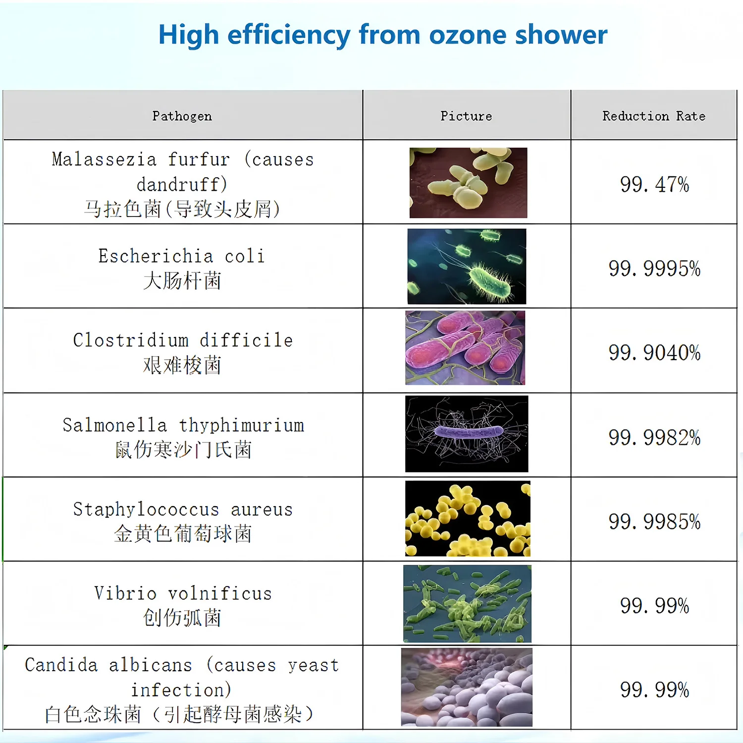 دش احترافي للأوزون للحيوانات الأليفة - نظام استحمام متطور للحيوانات الأليفة لتطهير فعال وإزالة الرائحة والعناية بالبشرة وتنظيف لطيف
