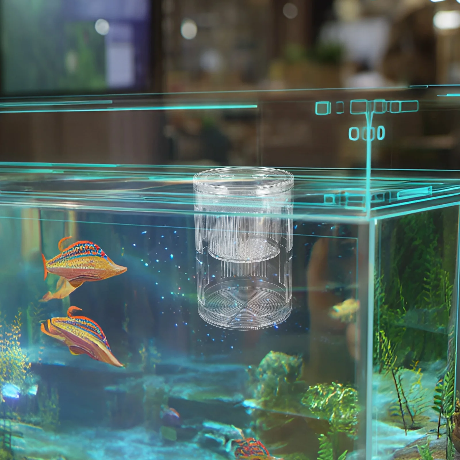 

Acrylic Fish Breeding Box Floating Isolation Fish Hatchery Chamber Aquarium Divider Shrimp Hatchery Tank Betta Guppy Breeding