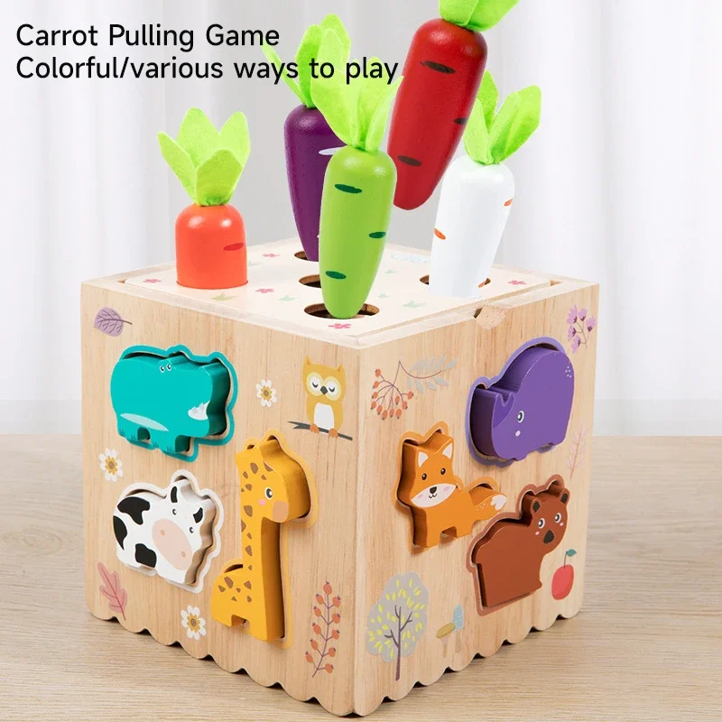 Trieur de formes sensorielles colorées en bois Montessori pour enfants, jouets pour faciliter les activités manuelles, développement, jouets d'apprentissage, cadeau