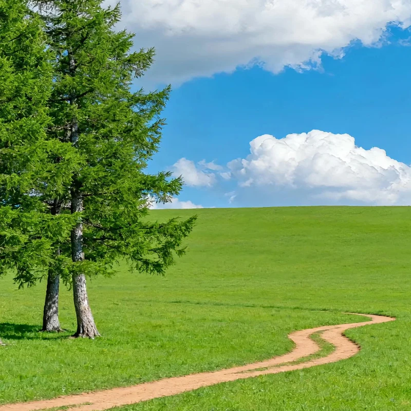 

Приемник MATEKSYS ELRS-R24-D 2.4G — протокол ELRS, CRSF, нано/микро/мини-размер, для радиоуправляемых систем дальнего действия FPV Racing Freestyle