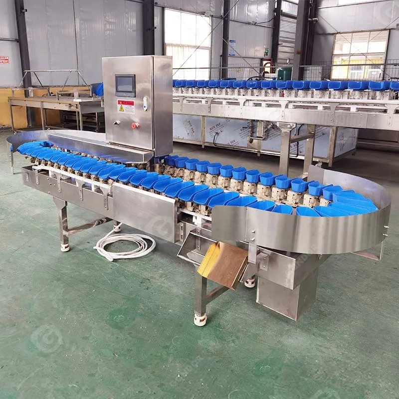 Automatic Fruit Live Fish Orange Potato Size Weight Sort Sorting Grading Grader Machine by System