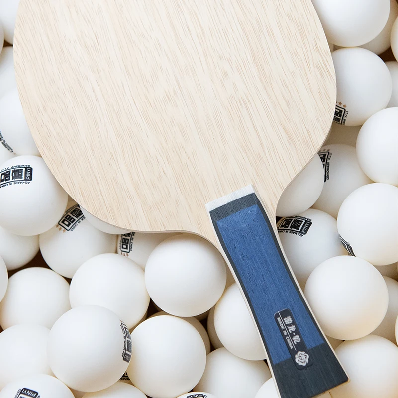 PINYI Youlong-Qian Professional Table Tennis Blade 5 Wood+2 Outer Carbon Ping Pong Rackets Same Structure as Viscaria