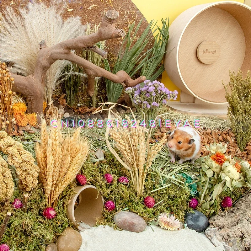 Natural Dried Flower Hamster Bedding Hamsters Cage Landscaping Supplies Chipmunk Molar Toy Rat Accessories Small Pet Bedding