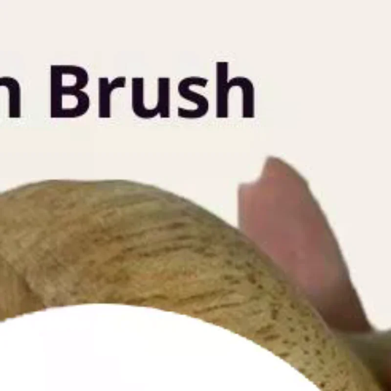 

Multipurpose Durable SPA Gua Sha Tool Brass Head Massage Gua Sha Comb Long Wooden Handle Sturdy Meridian Point Massager Brush