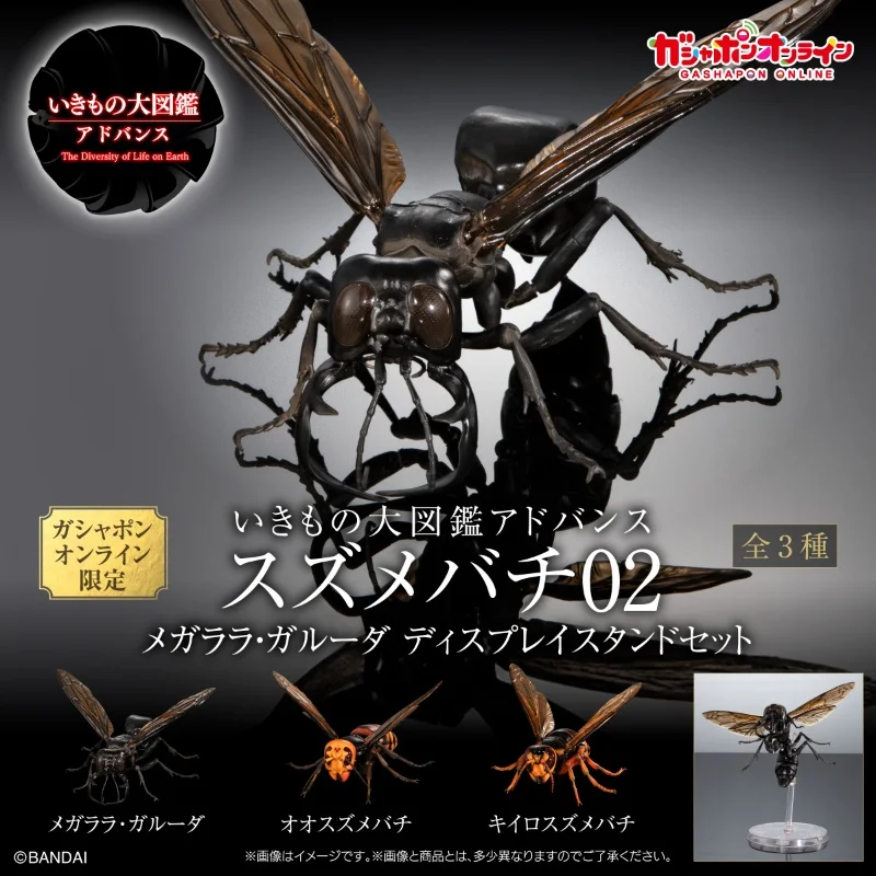 بيضة Bandai-Gashapon خريطة بيولوجية كبيرة للدبابير 02 ، Megalara Garuda ، Hornet ، لعبة Gacha الممتازة ، متوفرة بالمخزون