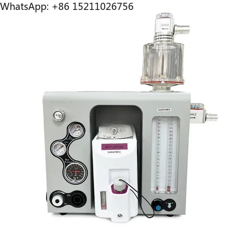 SY-WE006-1 High quality Small Cheap New Veterinary anesthesi Device Animal Vet anesthesi Machine Price