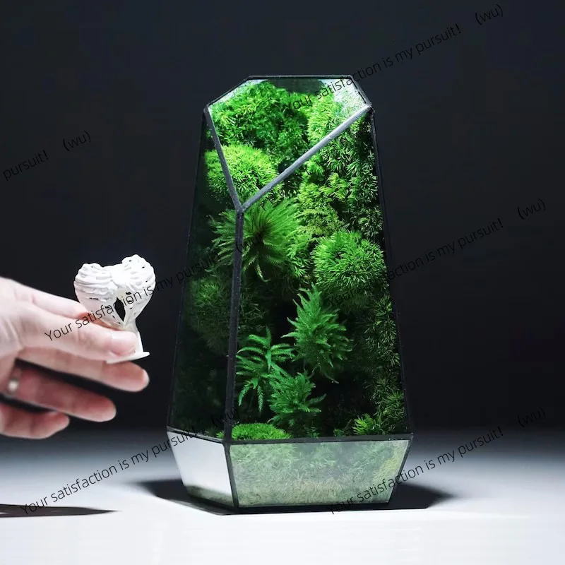 Micro Landscape Planter Moss Rainforest Tank Geometric Glass Flower Room Irregular Ecological Vase Succulent Water Plant Vase