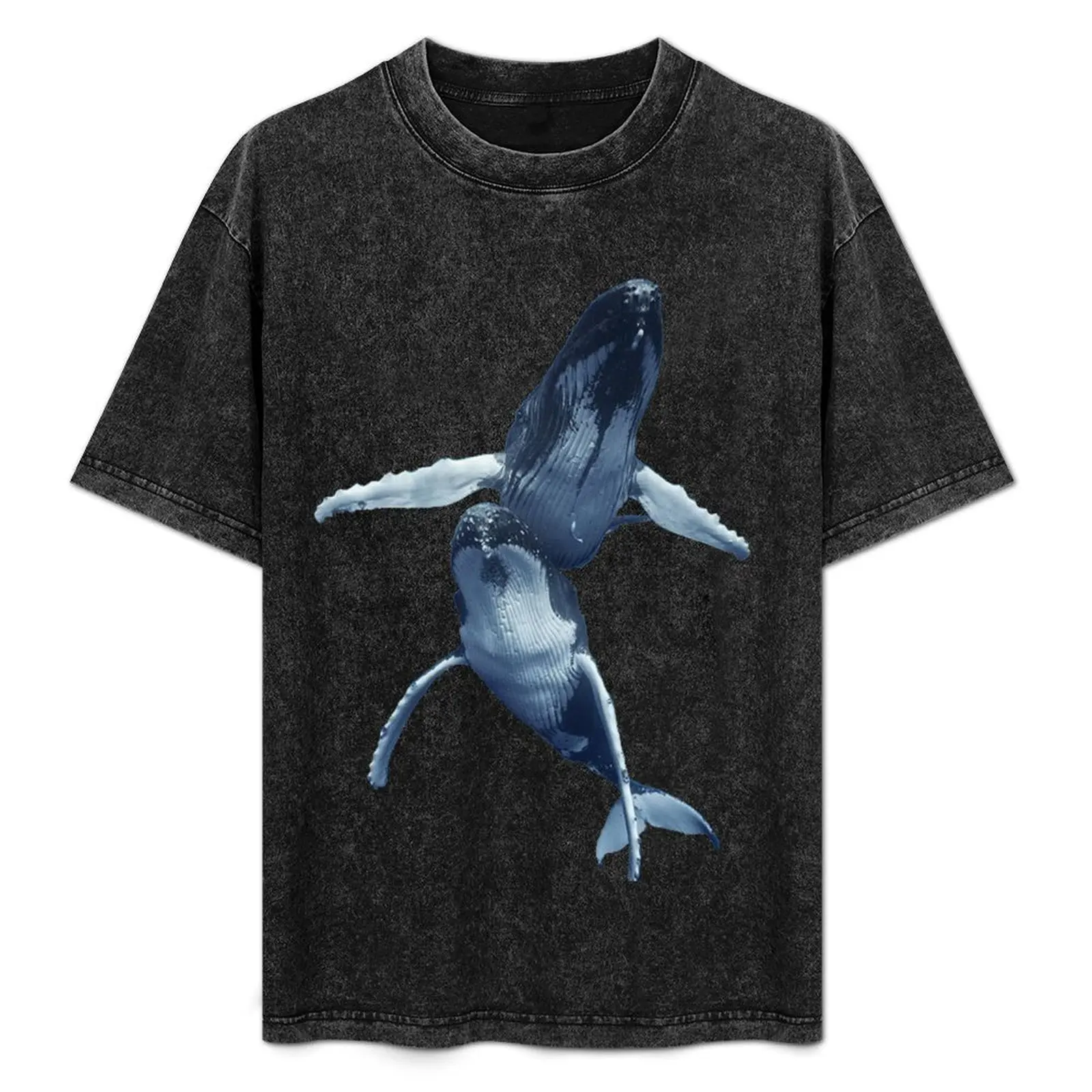 

Sperm Whale T-Shirt UV Protection Outdoor Tee Shirt