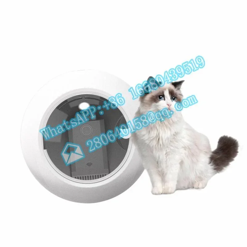 Automatic Drying And Disinfection Integrated Cat Hair Water Blower General Pet  Box