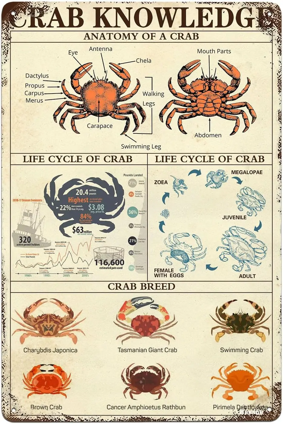 Panneau en métal amusant « Crab Knowledge », panneau décoratif vintage pour la maison, la cuisine, la ferme, le bar, le café, le club, décoration murale, 8x12 pouces