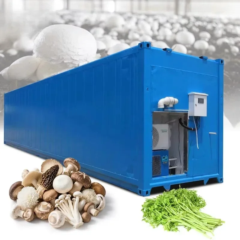 Customized 16ft Shipping Container Mushroom Growing Room Vertical Smart Indoor Farm Equipment For Commercial Mushroom
