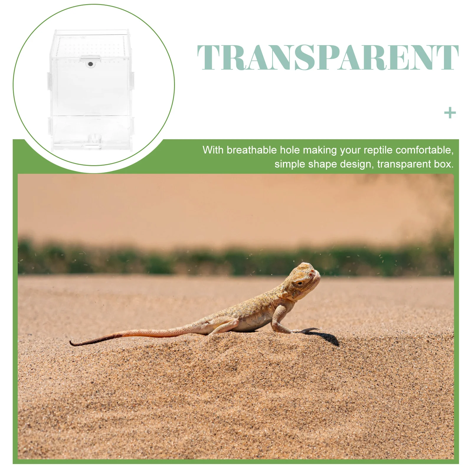 

Clear Acrylic Reptile Feeding Box with Ventilation Holes for Spider Lizard Gecko Breeding Habitat Terrarium Storage Container