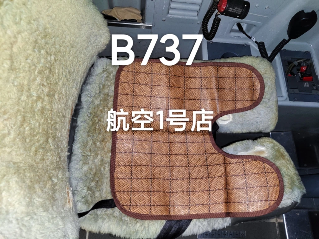 

Boeing Airbus Bombardier Gulfstream Airplane Seat Rattan Cushion Foldable Storage Carrying