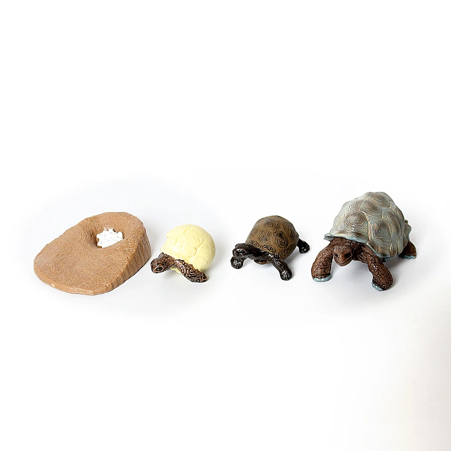 Realistyczne figurki modelujące cykl życia gadów, zabawki, wąż, jaszczurka, kameleon, żółw, figurka cyklu życia, zabawka edukacyjna, upominki na przyjęcia