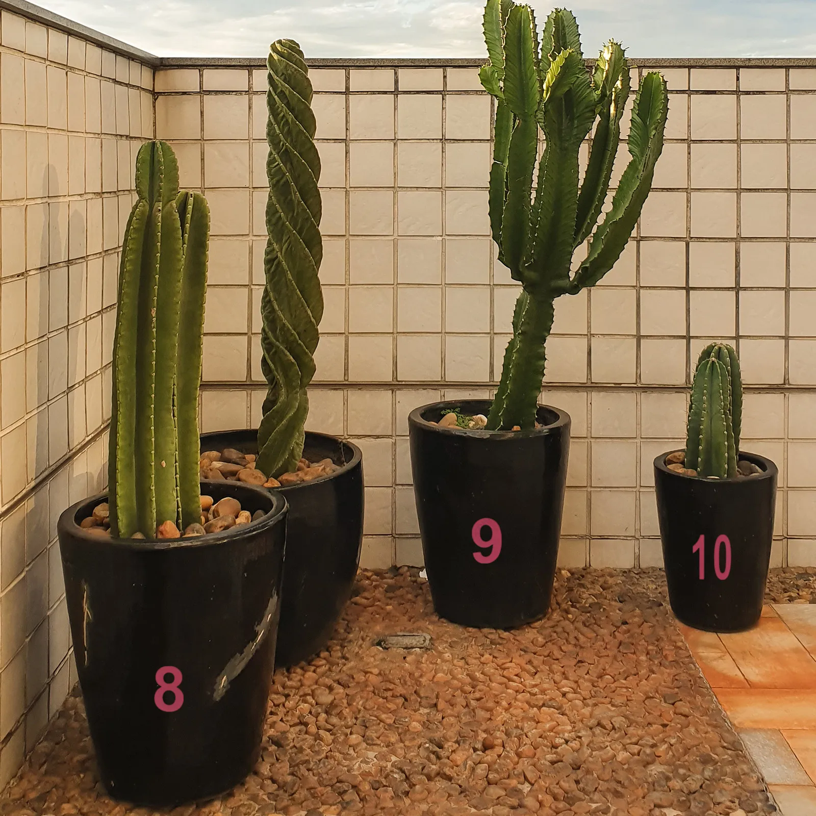 

2 Sheets Waterproof Round Number Stickers Large Size Adhesive Serial Number Sticker Set for Clothes Garden Flower Pot Position