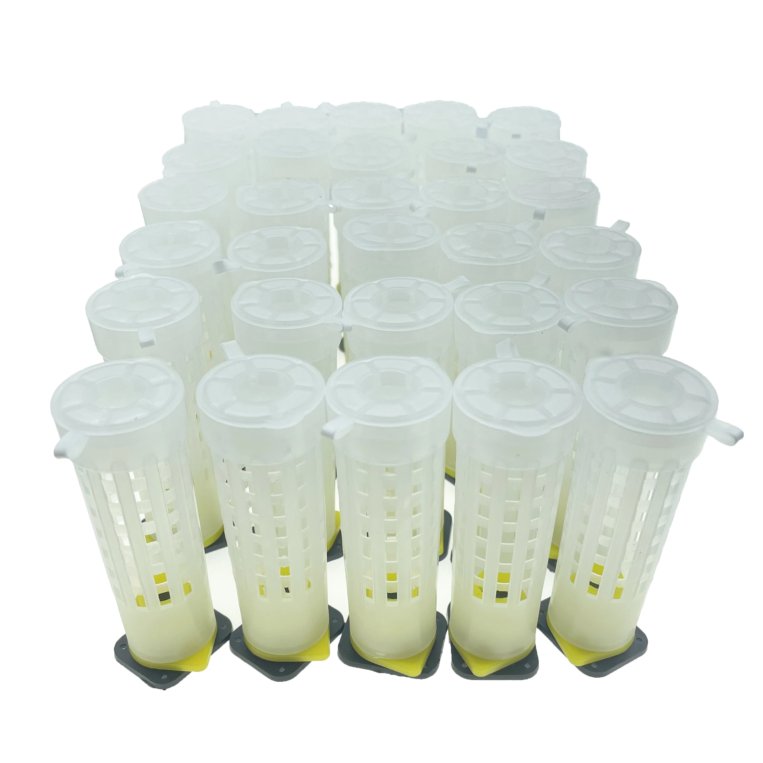 

30PCS Plastic Protection Cover For Sealed Queen Cells Young Bee Larvae Worms Introduction Virgin To Colony Apiculture Beekeeping