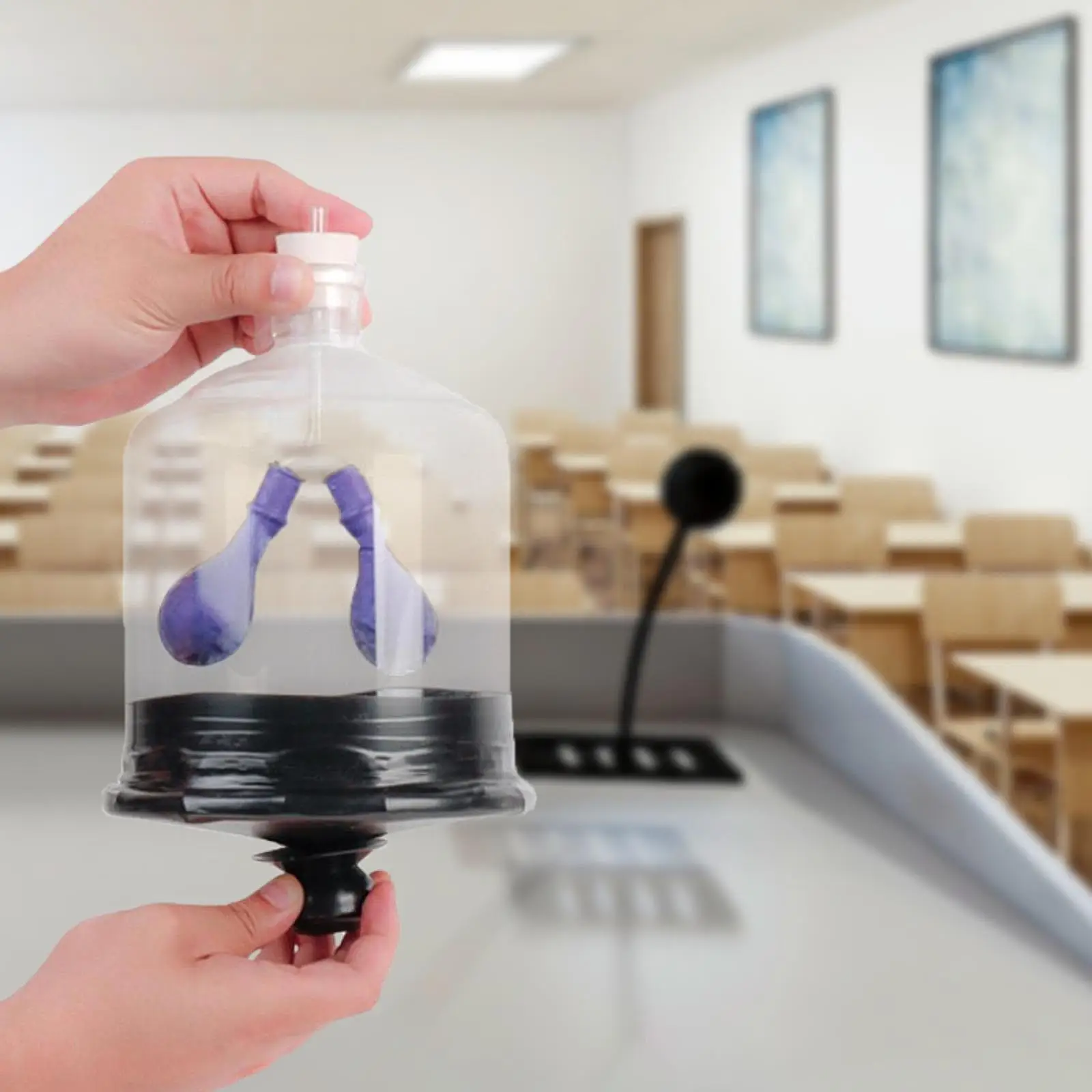 Lungendemonstrationsmodell Biologie Lehrrequisiten DIY Experiment Lungenatmung