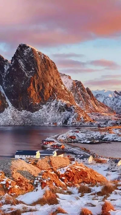 

Хэллоуин игрушка браслет в виде змеи ПВХ моделирование змеи браслет поддельный браслет в виде змеи розыгрыши игрушки страшные товары для вечеринок реалистичная игрушка