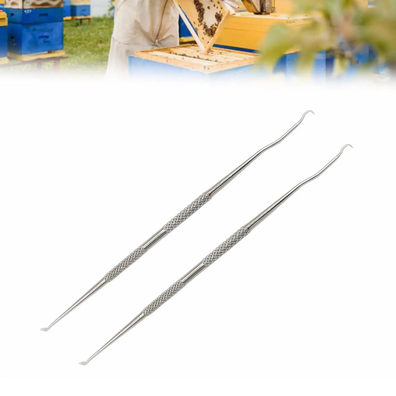 2 pcs Stainless Steel Queen Bee Grafting Tool Queen Bee Grafting Needle Stainless Steel Beekeeping Tool