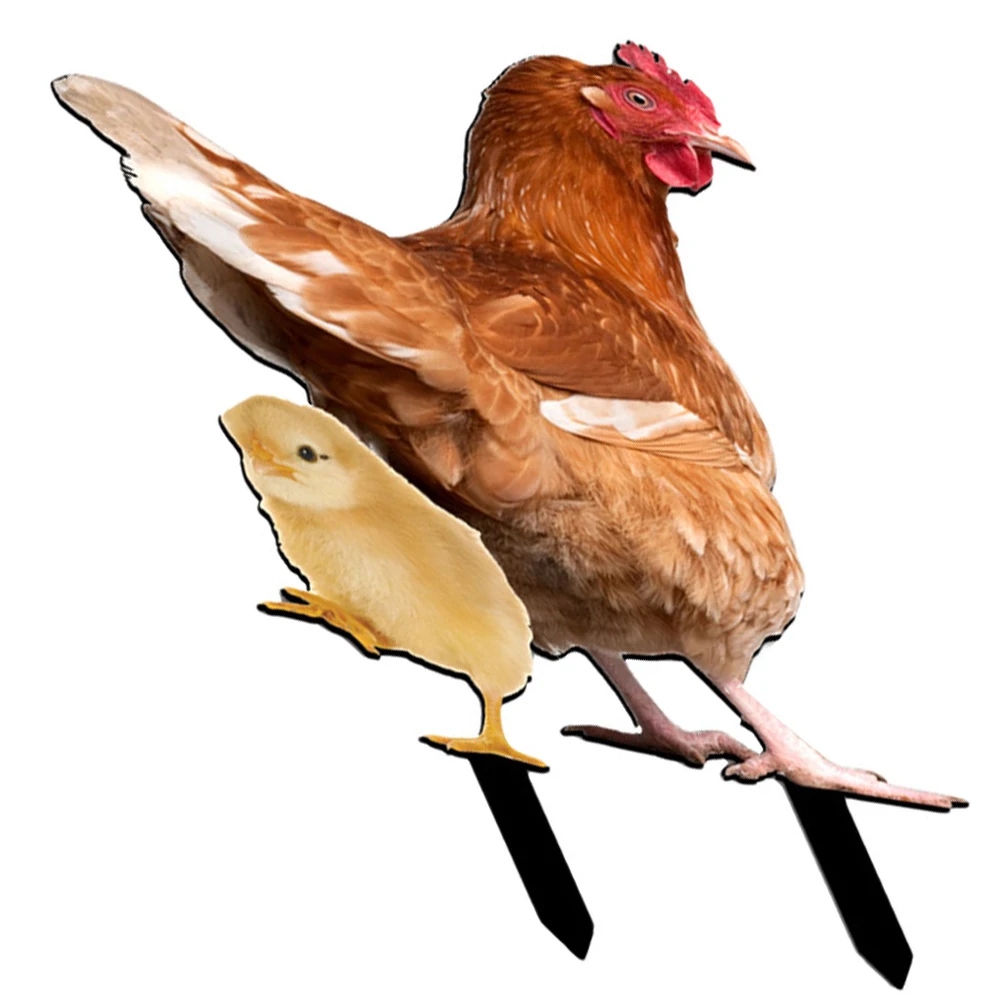 

2Pcs Acrylic Chicken Stake Decor Eye-Catching Garden Yard Sign Durable Outdoor Ornament Garden Chicken Yard Sign