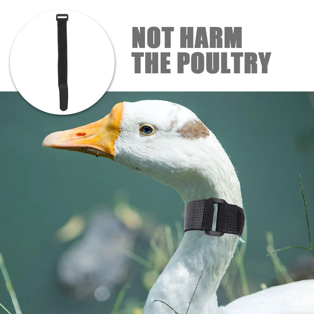 

4 Pcs Anti Crowing Collars Soft Nylon Adjustable Size Noise Chicken Rooster Duck Goose No Crowing Ensures Quiet Safe