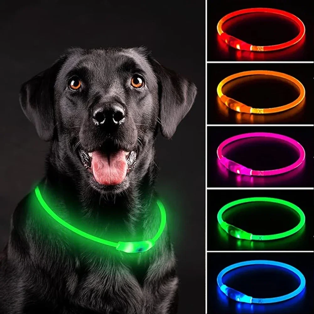 Collar Led luminoso para perro y gato, luz Led brillante de 3 modos, prevención de pérdida, accesorios para mascotas