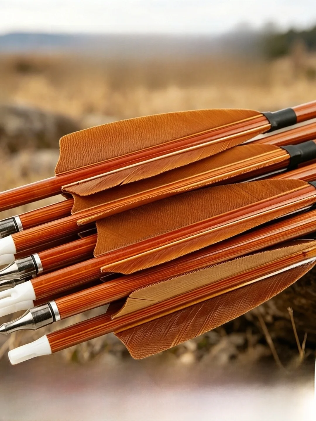 freccette-in-carbonio-sharrow-true-feathers-per-arco-ricurvo-tradizionale-per-allenamento-all'aperto-e-al-chiuso-freccette-in-carbonio-puro-per-uomini-e-donne-dai-15-anni-in-su