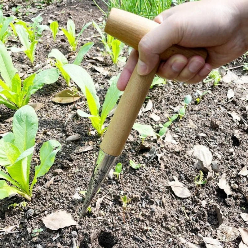 قطعة واحدة من أدوات زرع وتثقيب البستنة لزراعة بذور الزهرة، وتصريف الشتلات، وأواني الزهور اللحمية