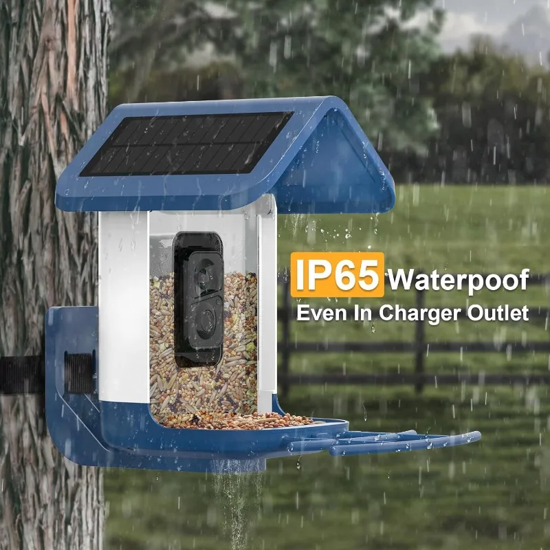 وحدة تغذية الطيور مع كاميرا تعمل بالطاقة الشمسية: كاميرا ذكية لتغذية الطيور كاميرا تغذية حية 2K للفناء الخلفي في الهواء الطلق - تحديد الذكاء الاصطناعي التلقائي