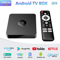 Mortal Android 14.0 TV Box Q1S Allwinner H313 Voice HD 2.4G/5G WiFi 4K Quad Core BT5.0 Video Games Smart  Media Player Google Tv