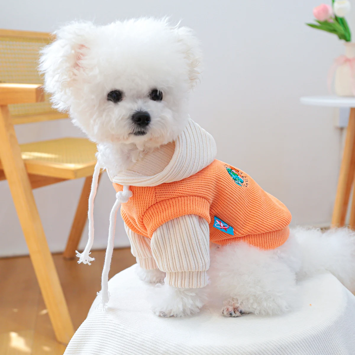 1PC Pet Clothing Cat Spring and Autumn Orange Planet Hoodie Hat Coat Suitable for Small and Medium sized Dogs