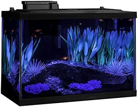 Kit acquario ColorFusion da 20 galloni, include illuminazione a LED e arredamento