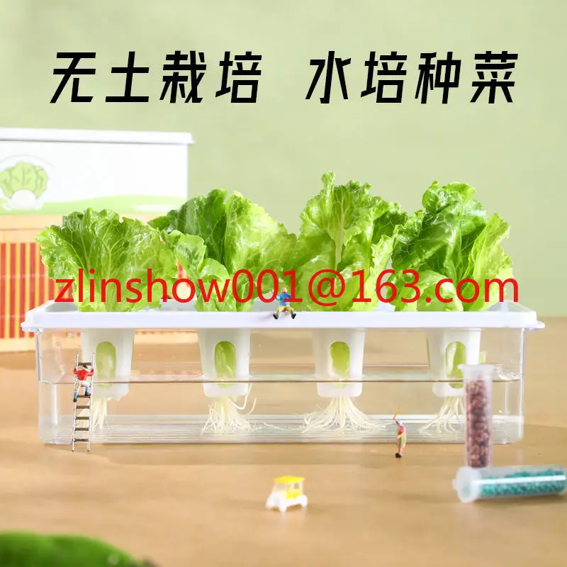 

Наблюдение беспочвенного культивированного овоща, салата, посадочной коробки