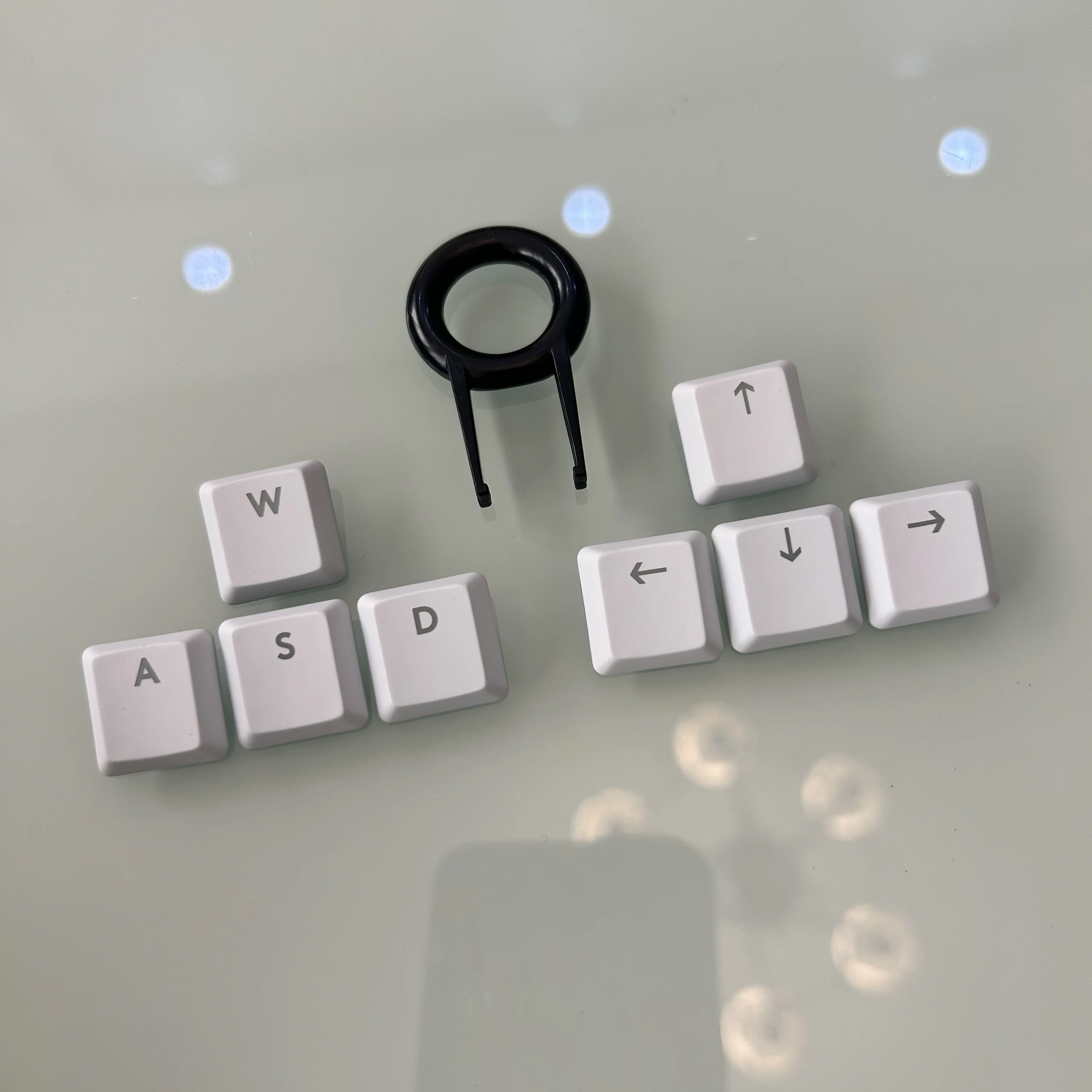 Black/White Backlit… - image