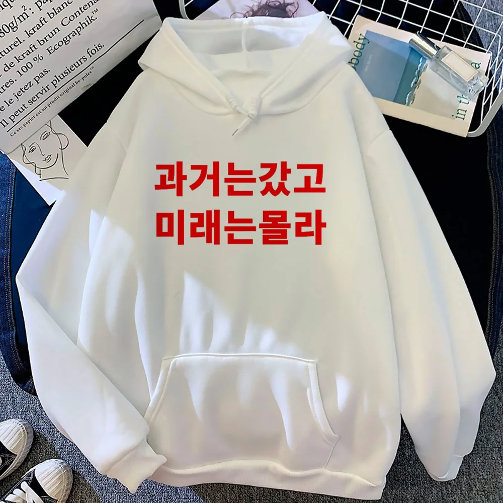 Koreanischer bedruckter Kapuzenpullover, japanische Kleidung für Teenager, Muster, Winter, Y2K, Teenager-Pullover, Winter, Freizeitkleidung, Streetwear