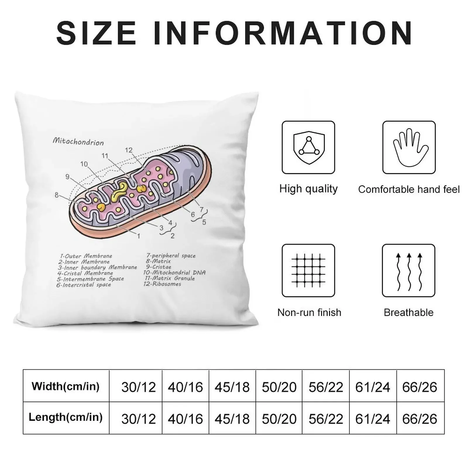 Mitochondrion Cell Biology Diagram Throw Pillow Pillowcase Cushion Pillows Aesthetic Cusions Cover pillow