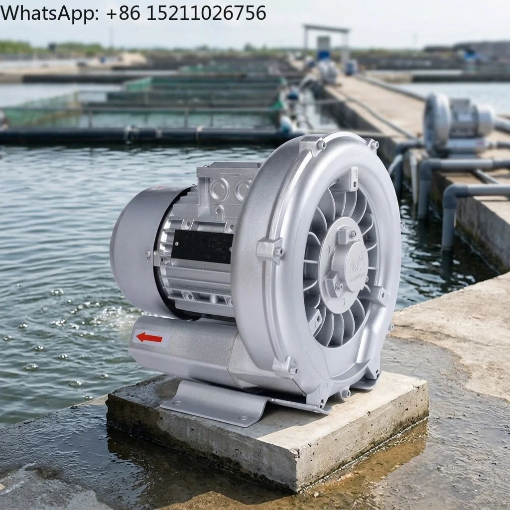 Three Phase 380V 50Hz/60Hz Aquaculture Regenerative Blowers for Oxygen Supply