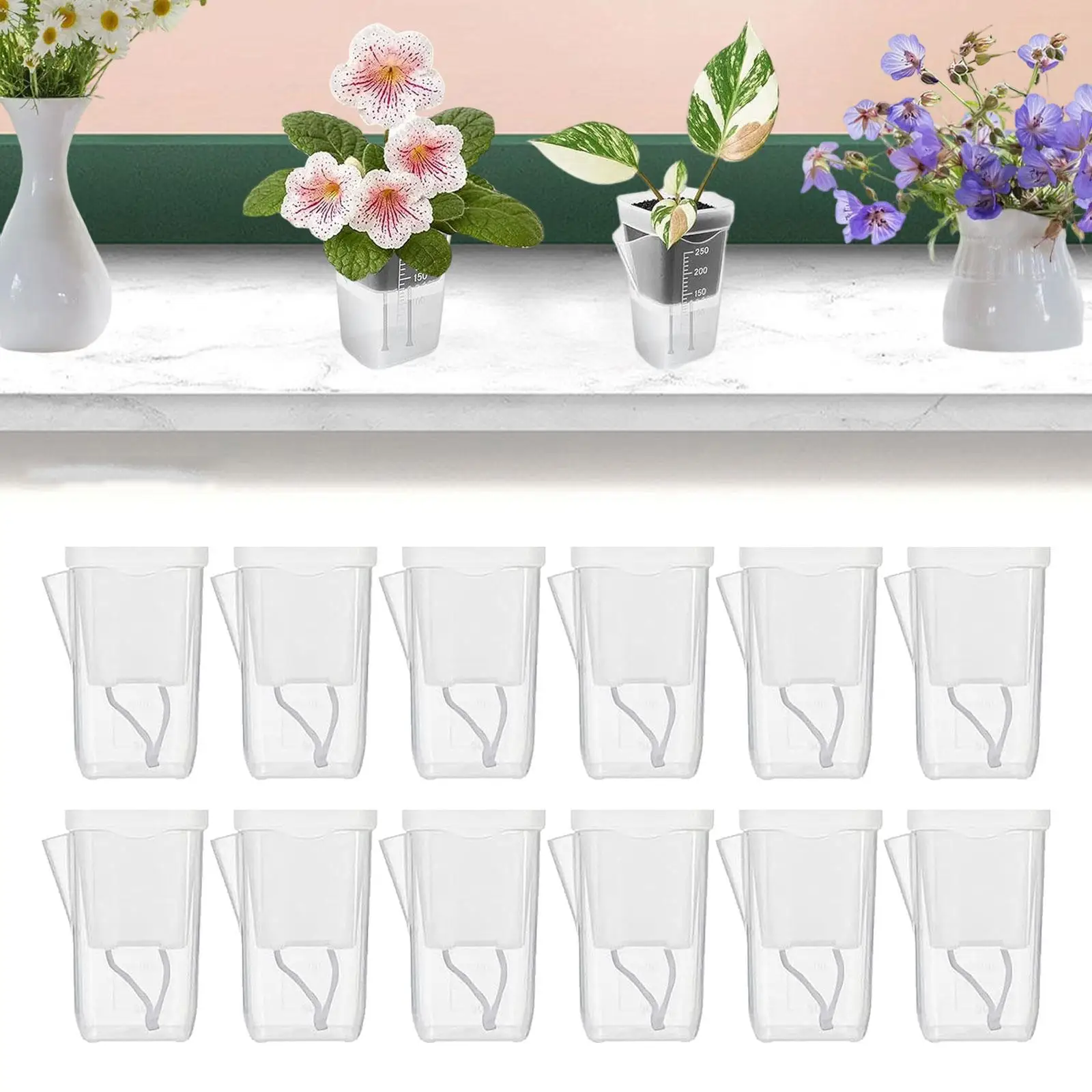 Fotografia 6: Vaso Transparente com Autoirrigação para Plantas Internas e Externas, Recipiente Retangular para Suculentas e Ervas