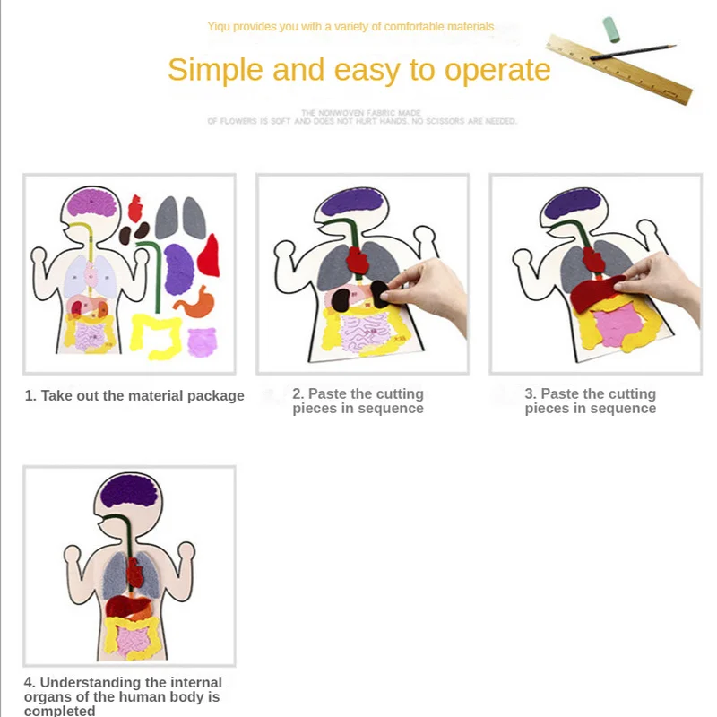 Ciência biológica Brinquedos Educativos para Crianças, DIY Órgão Ensino Aids, Scholar Kit, Acessórios para Professores de Ciências, Escola Doméstica, 88