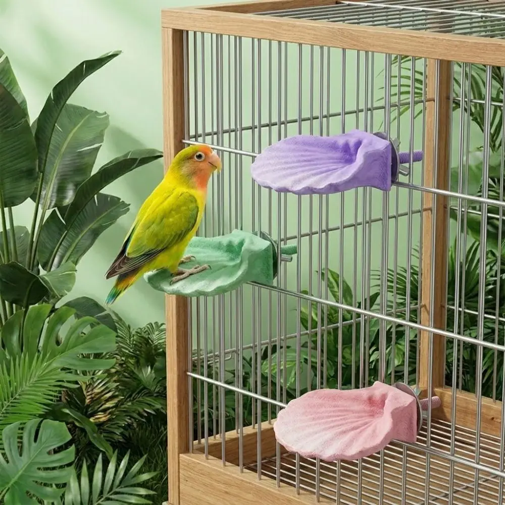 Shell Shape Parrot Perch Stand Wear-resistant Non-slip Parrot Resting Platform Colorful Bite Resistant Bird Teeth Chew Stick