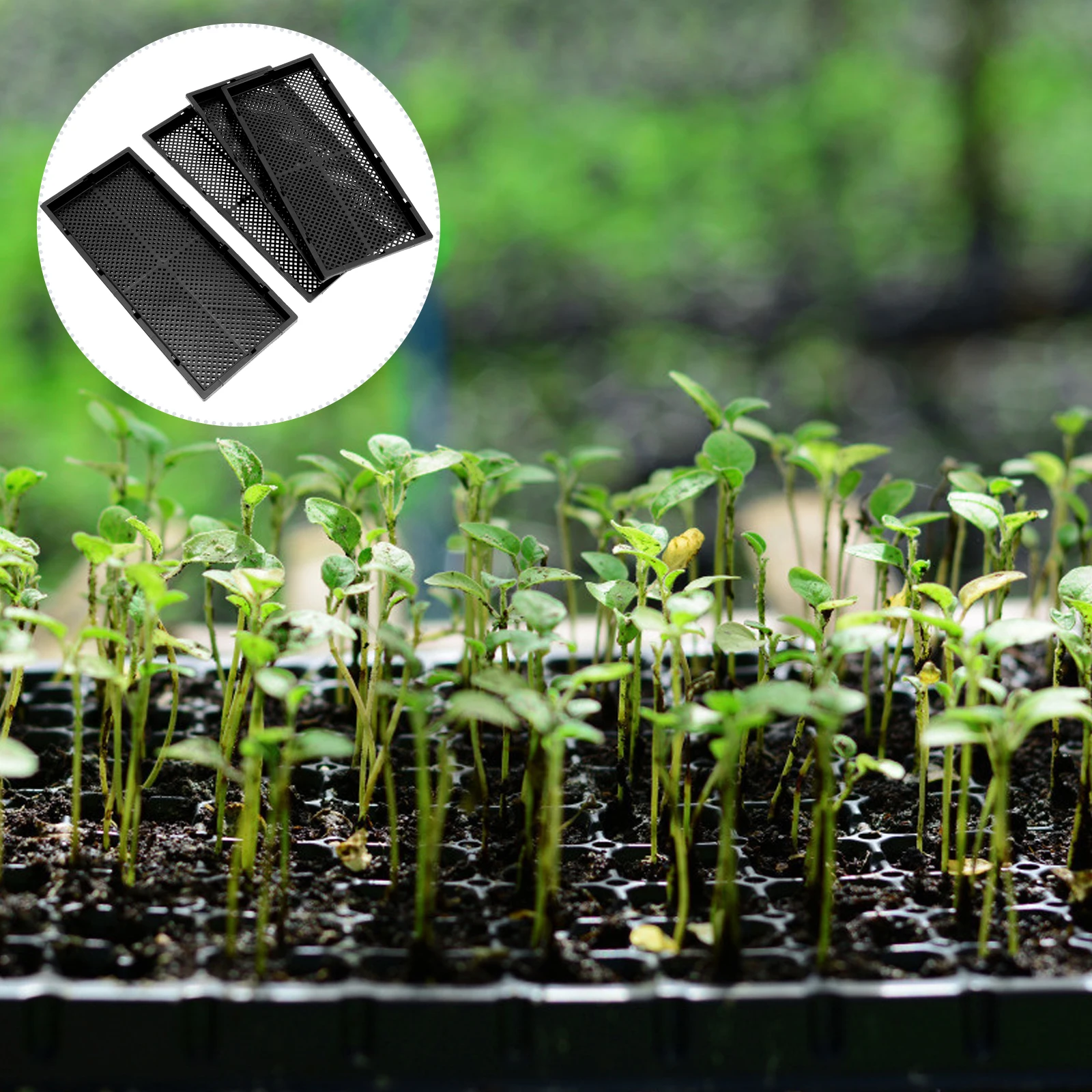 

5pcs Heavy Planting Tray Sprouter Trays For Home Garden Hydroponic Nursery Starter Seedling Container Sprouter Trays