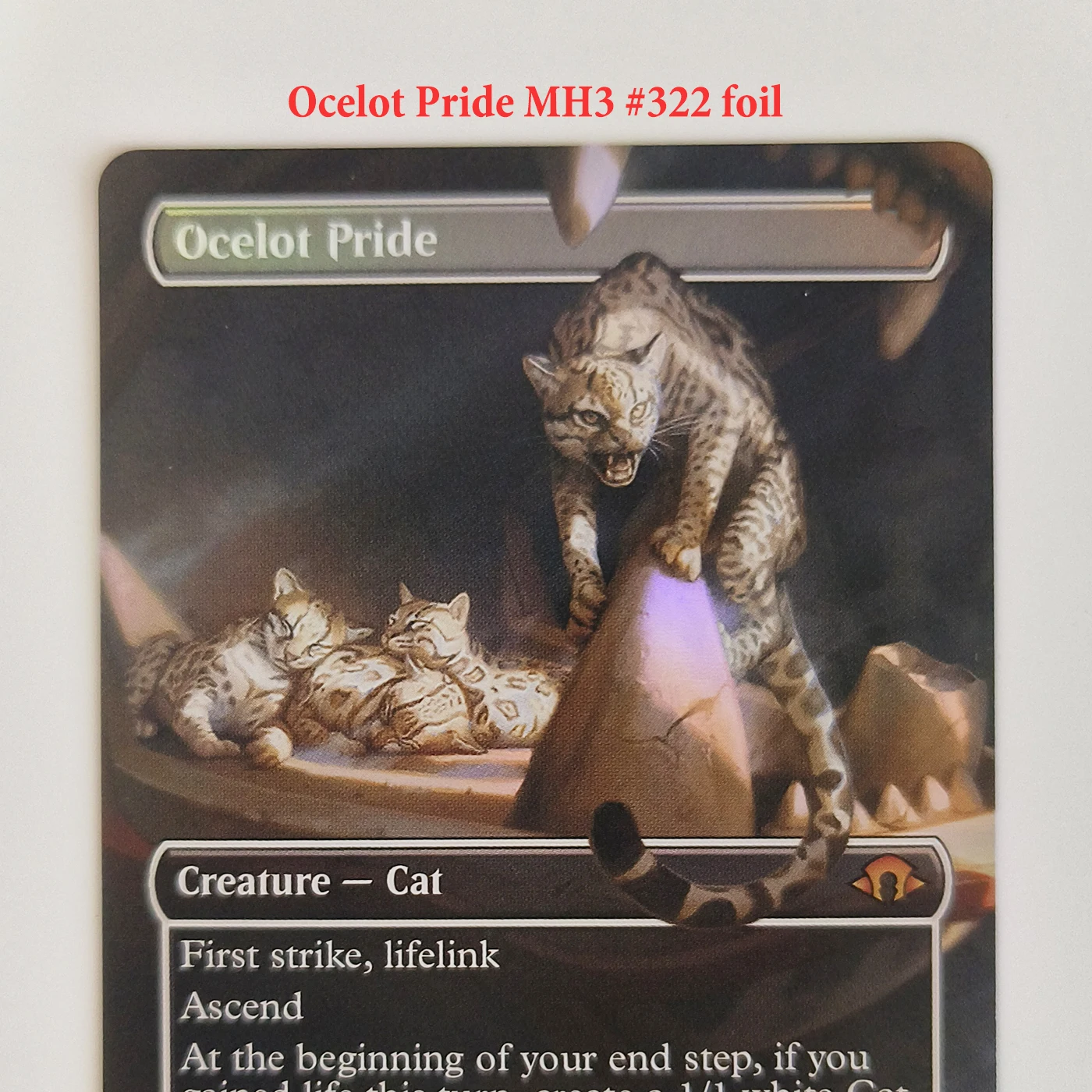 بطاقات رقائق الوكيل الرائعة المخصصة لطاولة عالية الجودة لرفع بطاقات ألعاب Palisade Bitterblossom Displacer Kitten