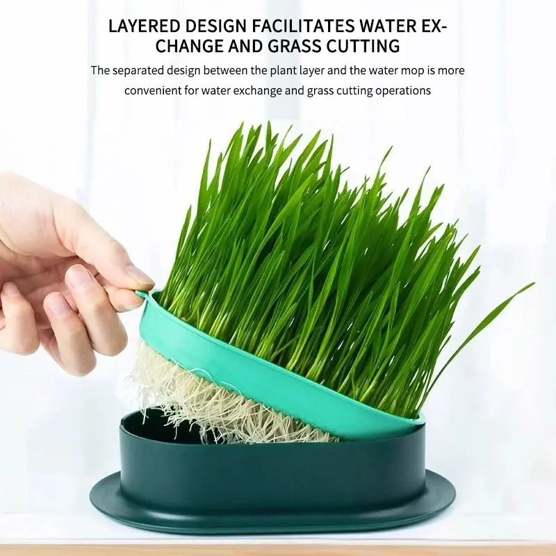 Nuevo Recipiente para Germinar Hierba para Gatos, Maceta Hidropónica para Plantas, Germinador de Hierba para Gatos, Recipiente de Inicio para la Digestión, Caja de Cultivo tipo Invernadero