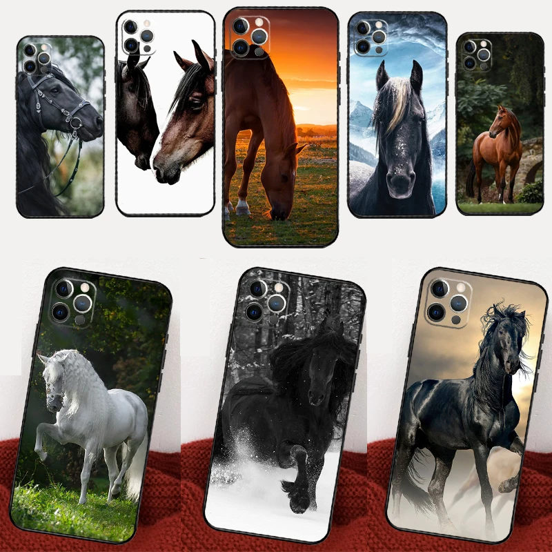 Horse Animal For Xi…